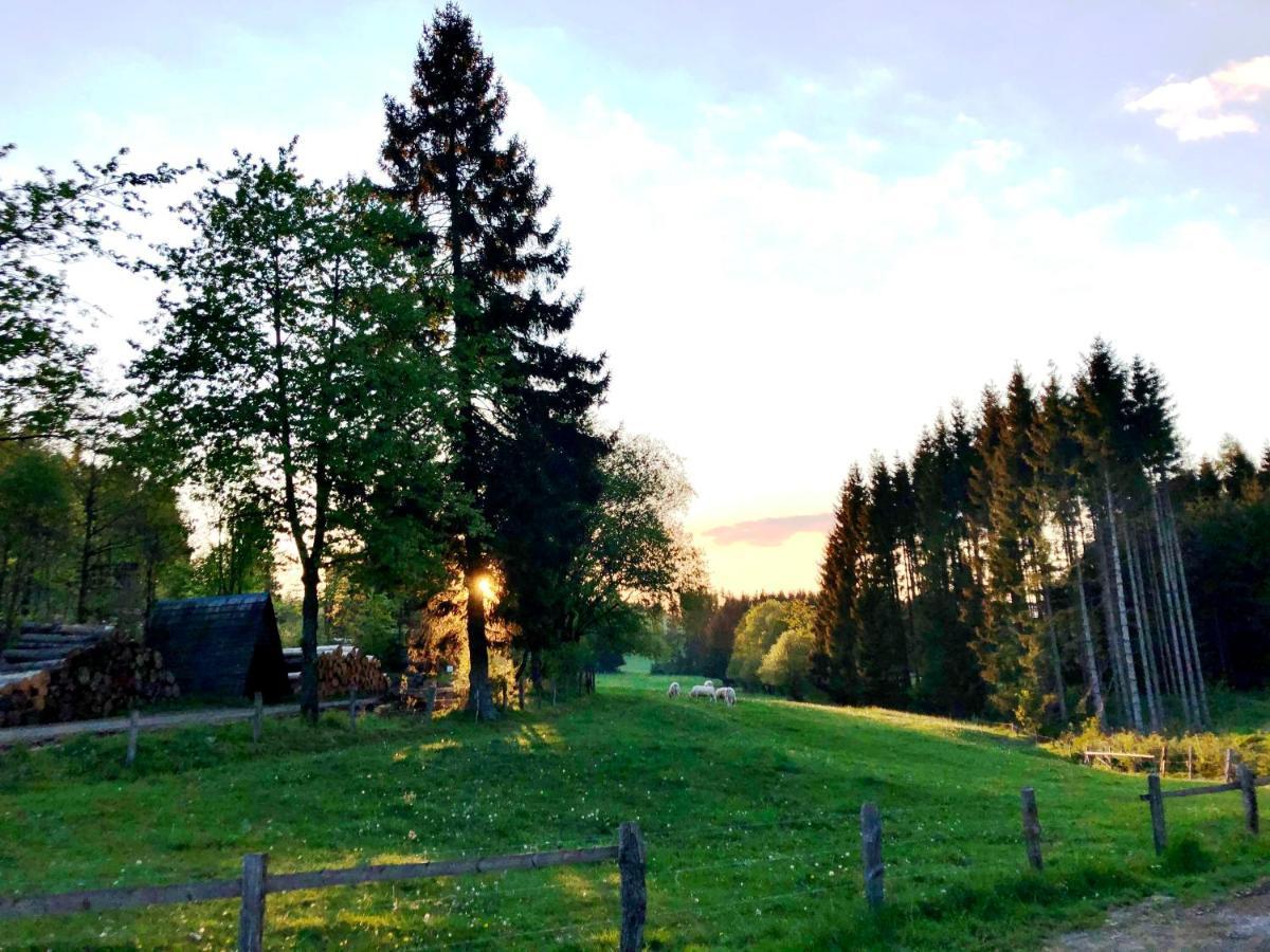 Hotel Zur Post Брилон Экстерьер фото